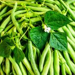apma-kheti-bazar-set-of-10-best-beans-vegetable-seeds