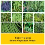 apma-kheti-bazar-set-of-10-best-beans-vegetable-seeds
