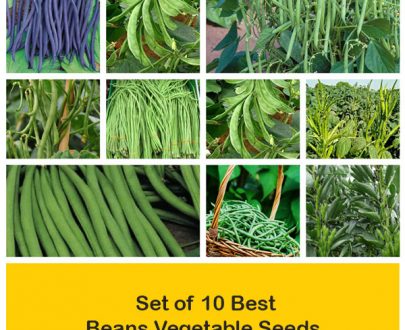 apma-kheti-bazar-set-of-10-best-beans-vegetable-seeds