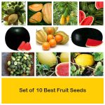 apma-kheti-bazar-set-of-10-fruit-seeds