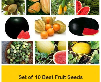 apma-kheti-bazar-set-of-10-fruit-seeds