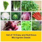 apma-kheti-bazar-set-of-12-green-vegetable-seeds-used-in-indian-cuisine-plants-in-india1