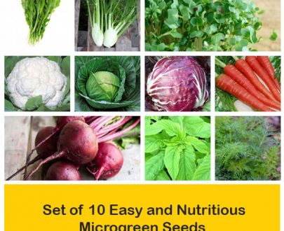 apma-kheti-bazar-set-of-12-green-vegetable-seeds-used-in-indian-cuisine-plants-in-india1