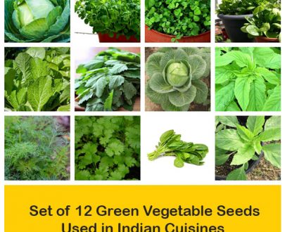 apma-kheti-bazar-set-of-12-green-vegetable-seeds-used-in-indian-cuisine