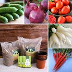 apna-kheti-bazar-5-fresh-vegetable-seeds-hybrid-for-salad-kitchen-garden-pack