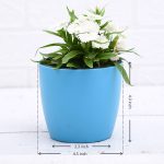 apna-kheti-bazar-dianthus-white-13