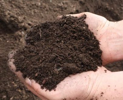 organic compost