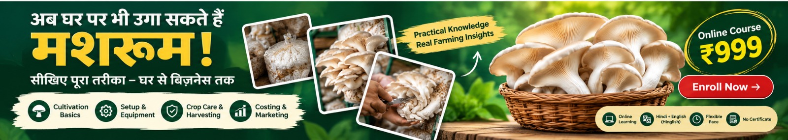 Learn mushroom cultivation at home, from setup and crop care to harvesting and marketing. Online course Rs 999. No certificate.